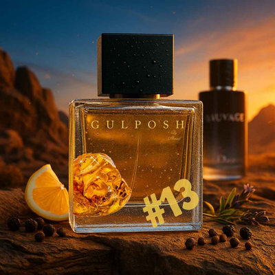 No. 13 -Amberwood,Bergamot,Ambroxan (100 ML)