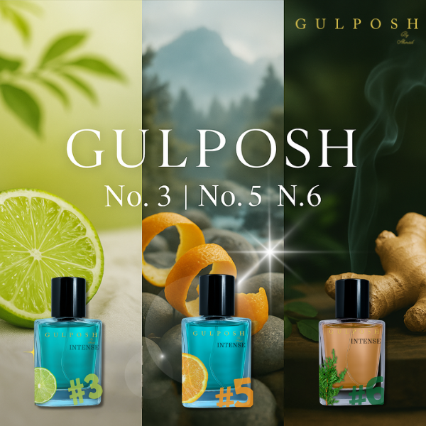 Top Fragrances to Wear This Summer ☀️ Gul Posh's Best Picks Bundle *