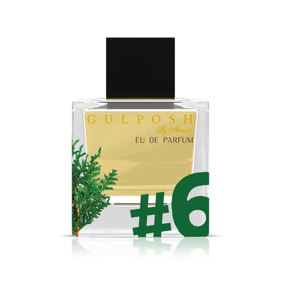 No. 6 - Cedar, Grapefruit, Ginger (100 ML)