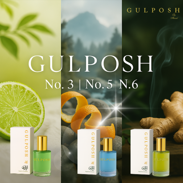 Top Fragrances to Wear This Summer ☀️ Gul Posh's Best Picks Bundle *